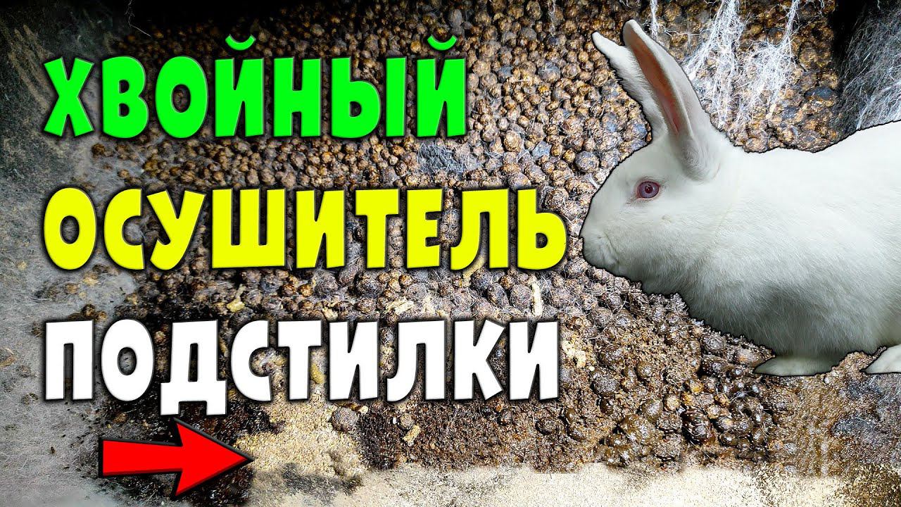 Хвойный осушитель подстилки для кроликов смотреть онлайн