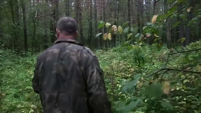 Охота на кабана с арбалетом МК ХВ52 смотреть онлайн