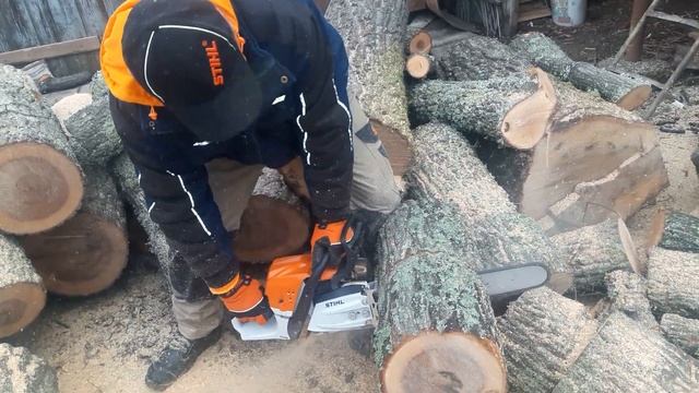STIHL MS 362 with chain Stihl RS 33. смотреть онлайн