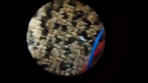 LG 26LC51-ZA дергается изображение,зависает.