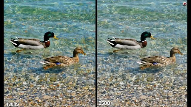 Nikon B500 VS Canon SX 430 IS(Camera Comparison Battle) смотреть онлайн