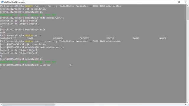 [Docker] 02 - Communication Entre Les Containers Et L'hôte