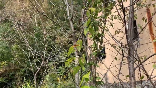 Дача в Сочи смотреть онлайн