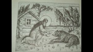 тихий свет на маковце горе