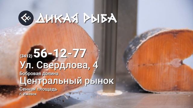 Магазин "Дикая рыба" в Ижевске/ Чавыча - дикий королевский лосось. смотреть онлайн