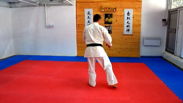 Ката Пинан Cоно Ни киокушинкай каратэ So-Kyokushin karate/ Kata Pinan sono ni смотреть онлайн