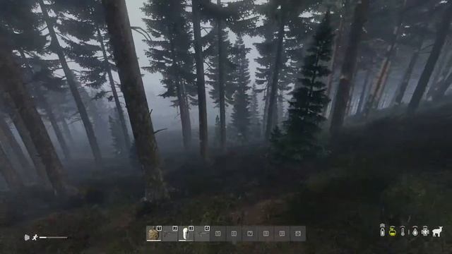Dayz Gameplay | Streaming Cease fire rp server смотреть онлайн