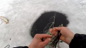 Как Поставить Рыболовные Сети под лёд, чтоб Не Украли! Проверка Сети!