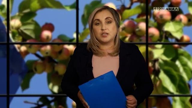 Передача Черниговец часть 4 смотреть онлайн