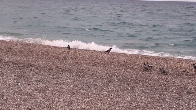 Если что то не выходит...Открыть себе дороги. смотреть онлайн