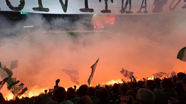 Rapid Vienna vs Austria Vienna (1-2) "Wiener Derby" - Stadium Vlog смотреть онлайн