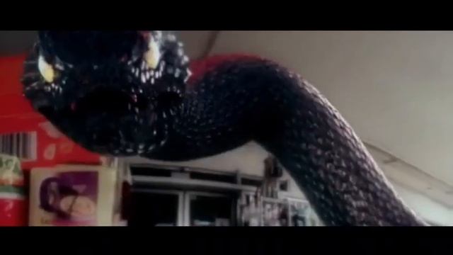Snake Outta Compton / Music Video смотреть онлайн