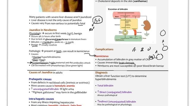 LiverGBPath2 смотреть онлайн