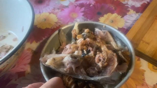 Лук прошлогодний.? Рыбный суп.Сладенько  спит.? Вся на иголках.?♀️