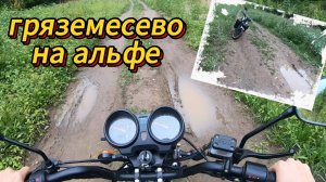 ПОКАТУШКИ на альфе! ГРЯЗЕМЕСЕВО, ПЕРВОЕ видео!