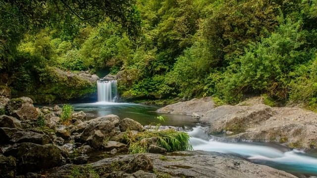 Tony Anderson. Ariane