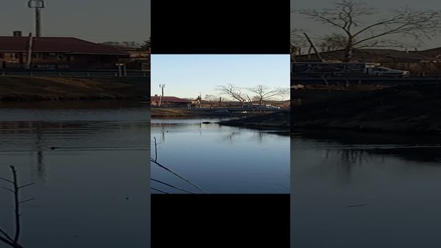 Прогулка возле речки...