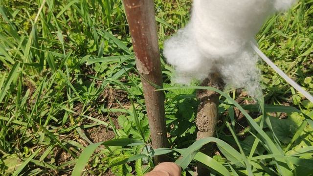 Человек на земле