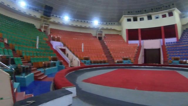 Шимпанзе VS Верблюды. Кто круче? смотреть онлайн