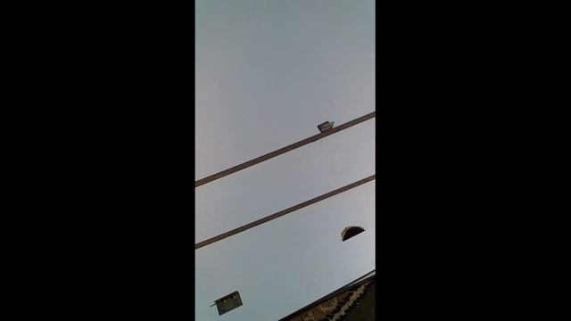 зеркало с подсветкой в стиле LOFT (чертеж и размеры) смотреть онлайн