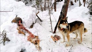 СЮРПРИЗЫ НА ПУТИКЕ.ЗАКРЫТИЕ СЕЗОНА