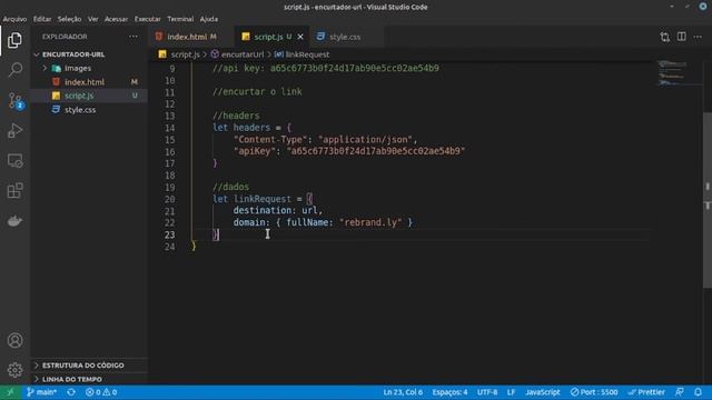 Como fazer um encurtador de Link com HTML + CSS + Javascript - Parte 2 смотреть онлайн