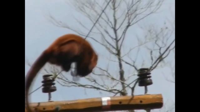 что будет если ударит током? смотреть онлайн