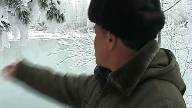Рыбинспекция против рыбаков смотреть онлайн