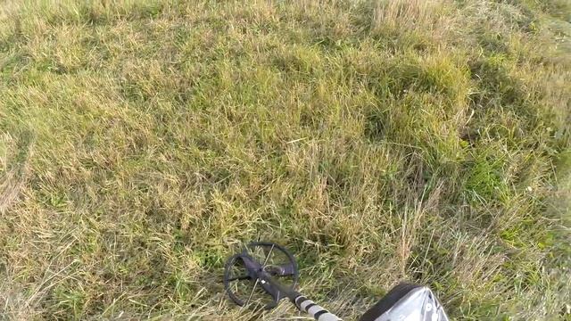 Травку пощипывая..катушкой! Реальный кооп Minelab E-Trac.. смотреть онлайн