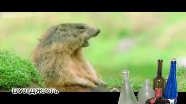 БУЛДЖАТь 10 ! История Blizzard Entertainment