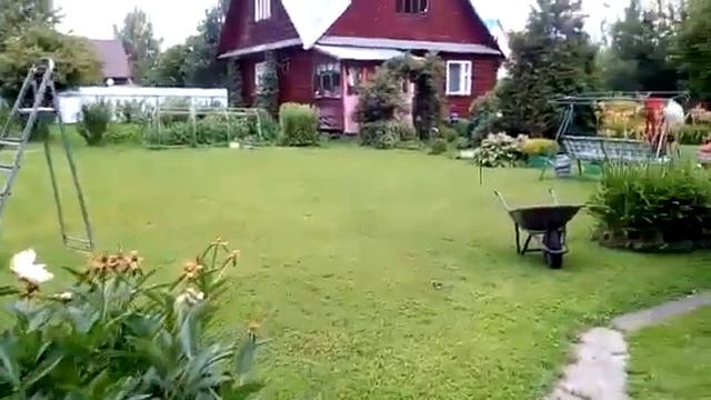 Звуки природы/ Цветы...пение птиц...мамины шаги.../ смотреть онлайн