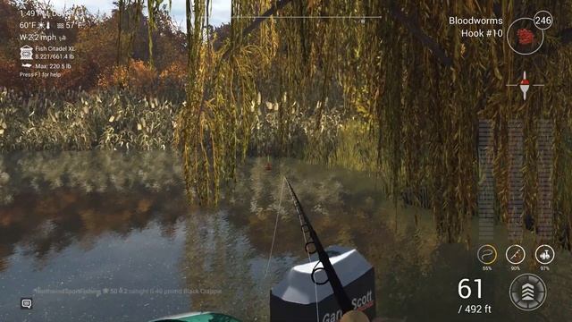 Fishing Planet - Emerald Lake - New York - Common Bluntnose Minnow смотреть онлайн