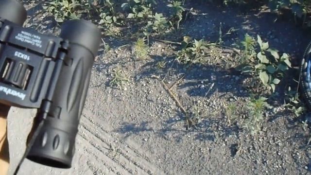 Тест биноклей бюджет 2000р Levenhuk,Tasko,Panda смотреть онлайн