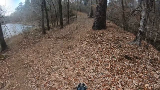 Best Starter Bike! (Apollo X-18) смотреть онлайн