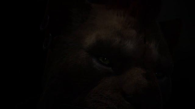 The Elder Scrolls Online: Summerset – Teaser-Trailer Zur Ankündigung