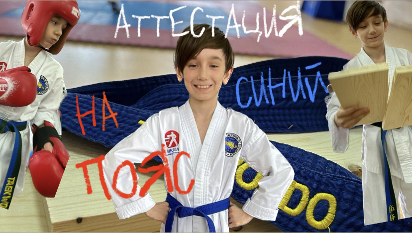 Аттестация на синий пояс по тхэквондо смотреть онлайн