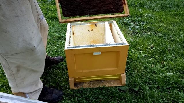 Лучший Улей ППС, BURNAT. Наилучшие конструктивные решения. Пром-пасека, Польша. смотреть онлайн