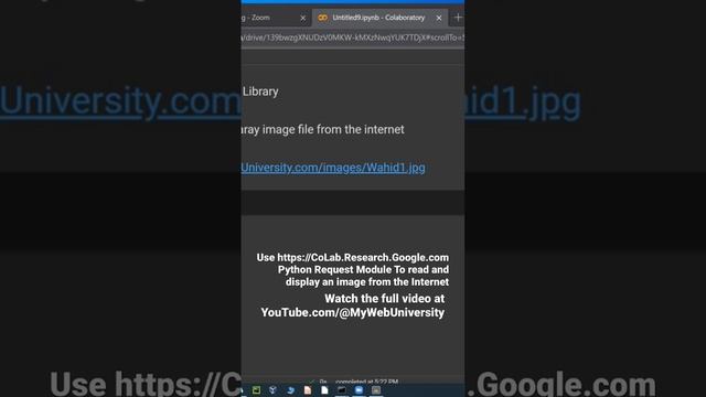 Python Request Module To read and display an image смотреть онлайн