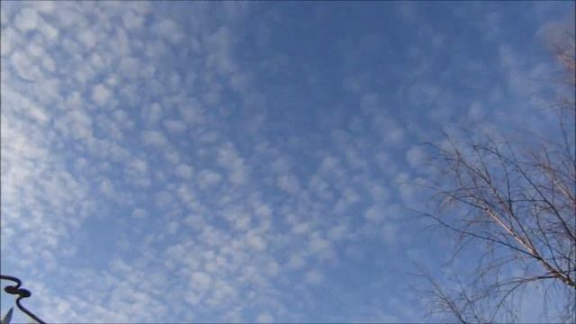 Испытания ТУЧКАГОНА № 2 смотреть онлайн