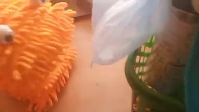 Он улетел?!Как Желтобрюх снова улетел к Познавателю?! смотреть онлайн