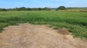 Косим 2й укос  костреца