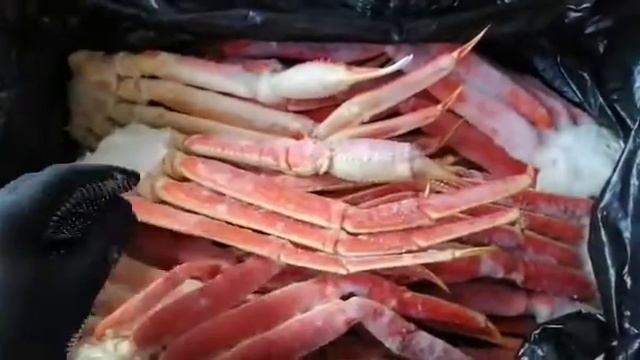 Краб опилио конечности 1кг смотреть онлайн