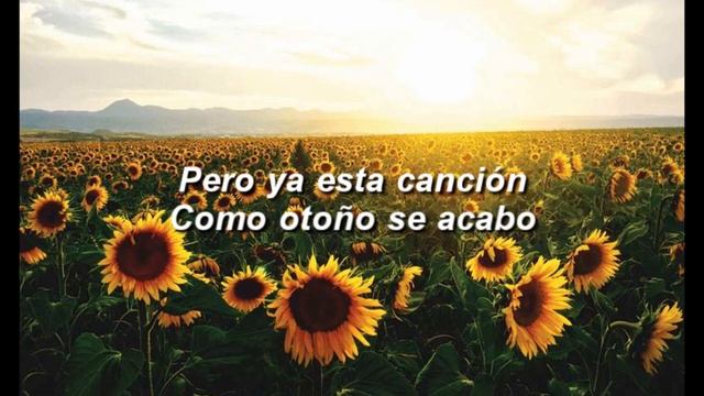 Seasons in the sun - Terry jacks | Spanish cover смотреть онлайн