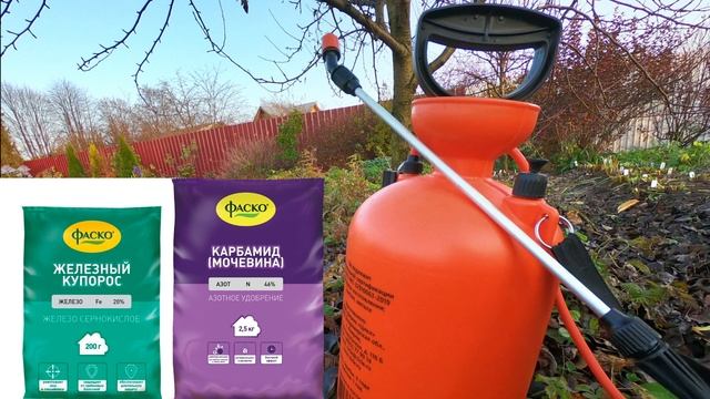 Обработка сада от болезней и вредителей. Осенняя обработка сада, плодовых деревьев и ягодных смотреть онлайн