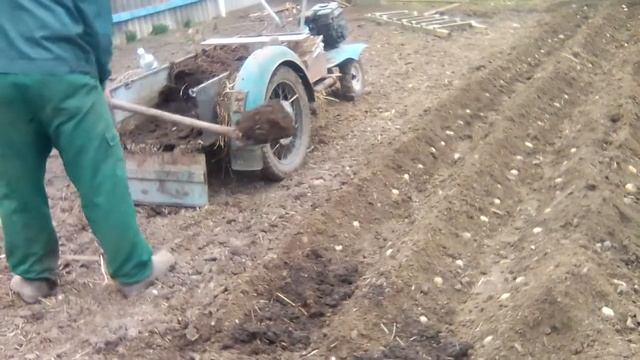 Сажаем картофель и т.д. смотреть онлайн
