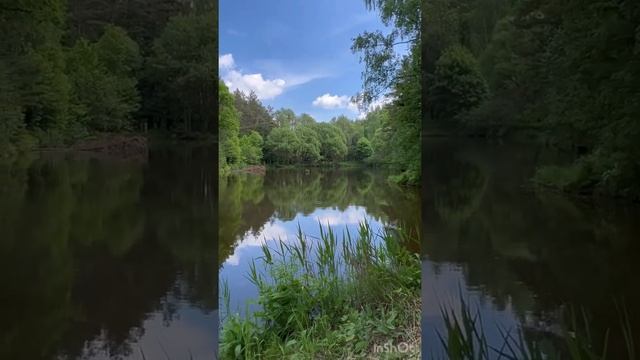 ЛЕСНОЕ ОЗЕРО смотреть онлайн