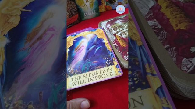 A Message for You!!! React to claim ??✍️ #33petals #oraclereading смотреть онлайн