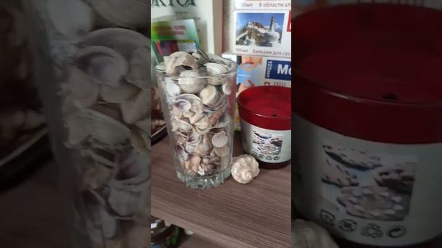 ПОДАРКИ ЧЁРНОГО МОРЯ??♂️ЧТО ДЕЛАТЬ С РАКУШКАМИ??