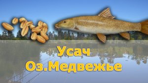 Ловля Усача на озере Медвежье Русская Рыбалка 4 #1