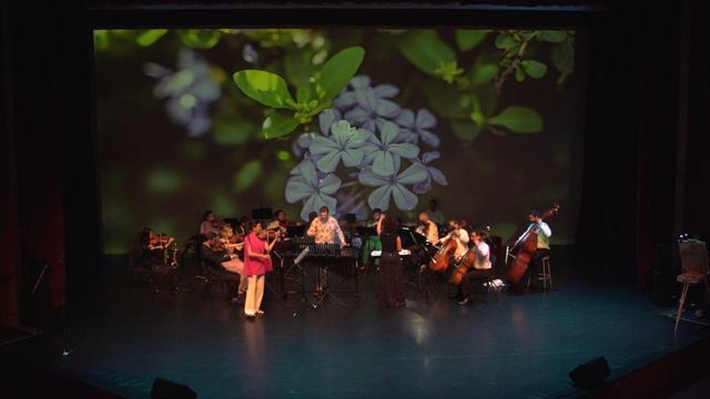 Georgs Pelecis. Flowering Jasmine for violin, vibraphone and strings. смотреть онлайн